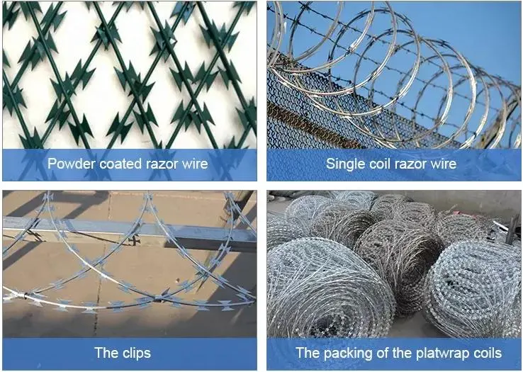 Spiky Fence Mesh Wires/Galvanized Barbed Wire/Barbed Wire Wall Spike/Barbwire/Mesh Barb Wire/Barbed Wire 50kg Bto-22