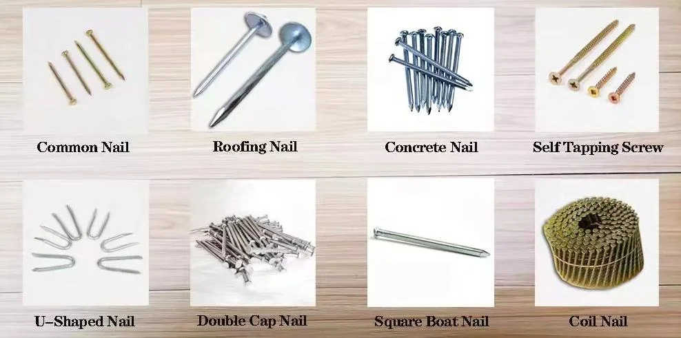 Hot Sale Common Round Nail Iron Wire Nails for Wood Building Construction