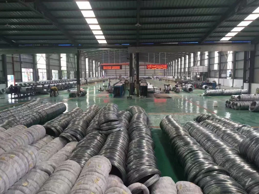 Hot Dipped Galvanized Steel Wire 12/ 16/ 18 Gauge Electro Galvanized Gi Iron Binding Wire