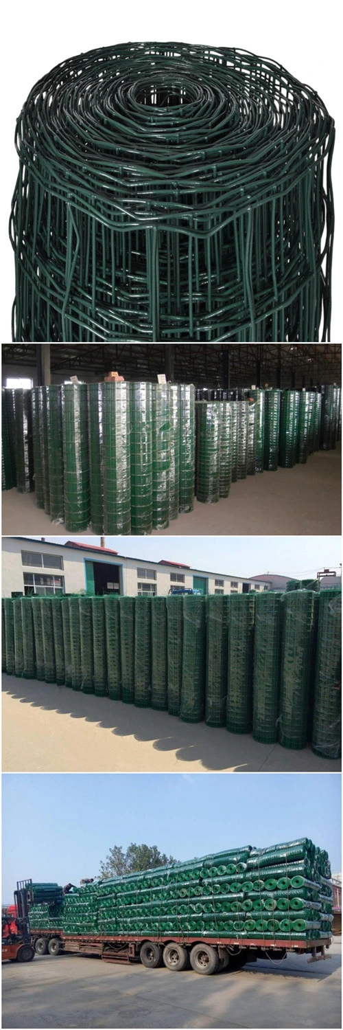 Green PVC Coated Euro Fence Welded Wire Mesh Fence Garden Fence Euro Wire Fence