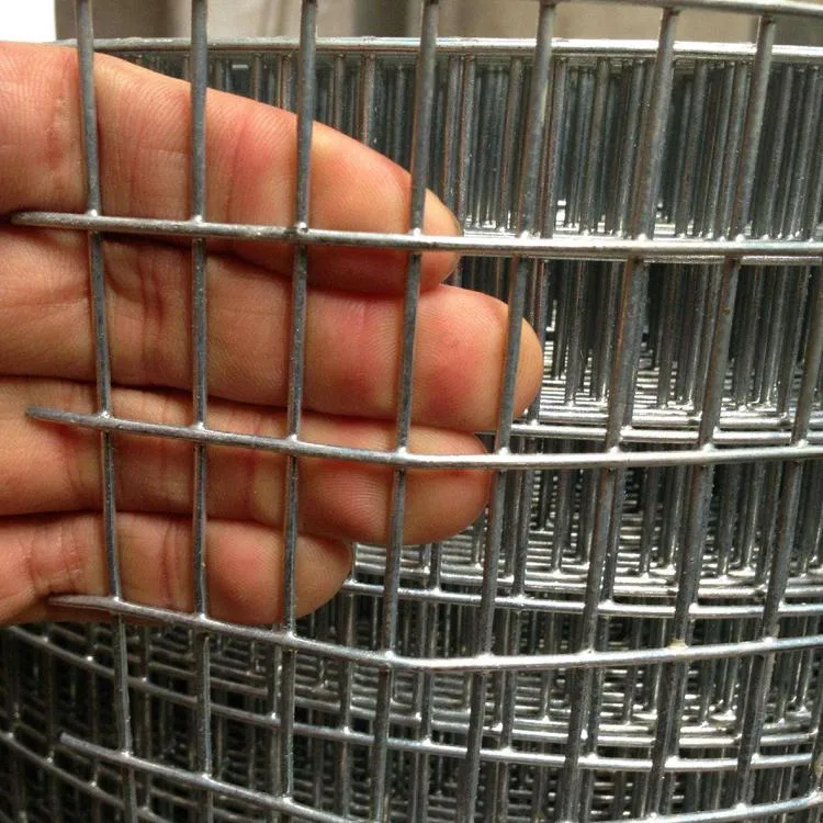 New Design Square and Green PVC Coated Welded Wire Mesh for Animal Cages