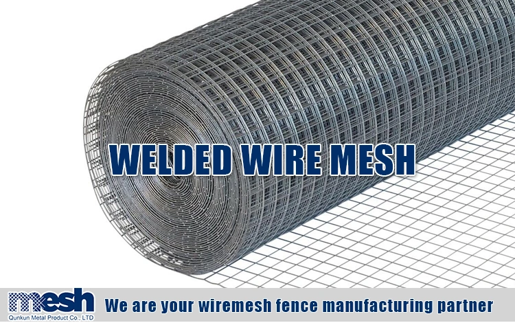 High Quality Galvanized Welded Wire Mesh Supplier