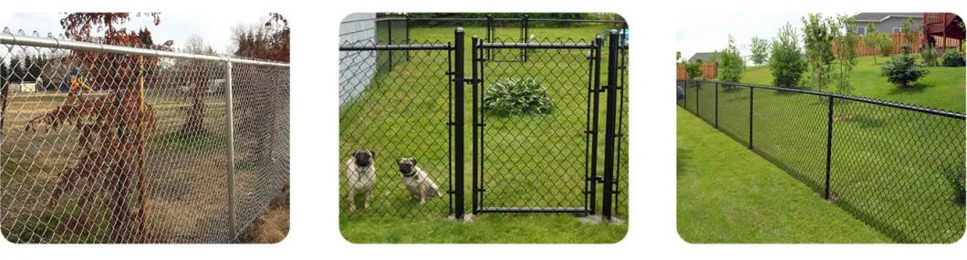 Diamond Hole Fencing Galvanized PVC Coated Chain Link Mesh Fence