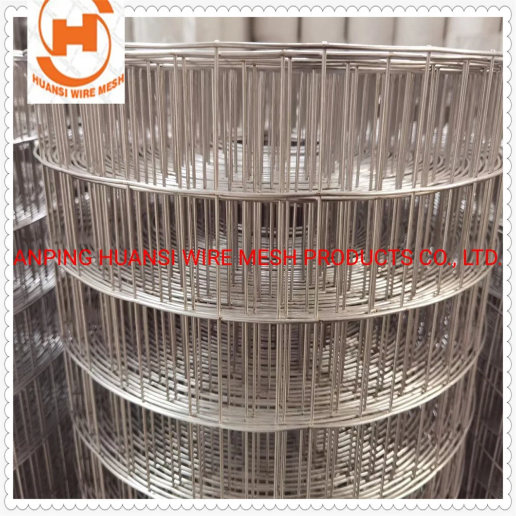 Stainless Steel/PVC Coated/Galvanized Welded Wire Mesh