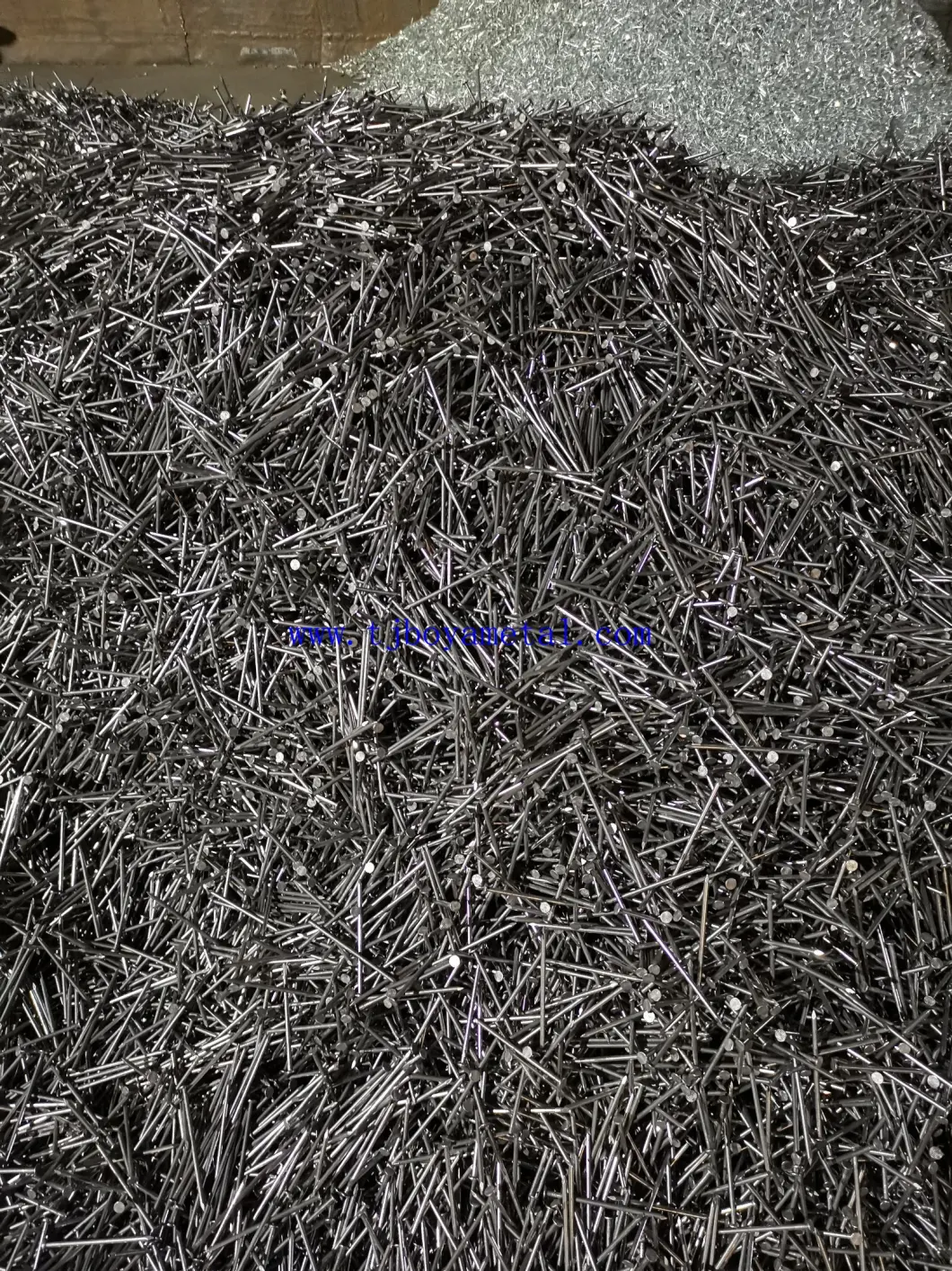 Polished Common Iron Wire Nail for Building and Construction Made in China