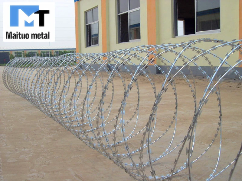 Razor Wire/Galvanized PVC Coated Concertina Razor Wire/Barbed Razor Wire Bto-22/Cbt-60 Cbt-65 Factory Sales Brand