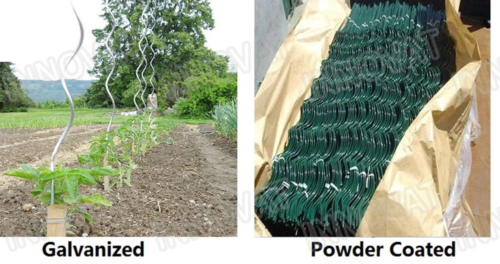 PVC Coated Tomato Growing Spiral Stake Plant Growing Support Wire