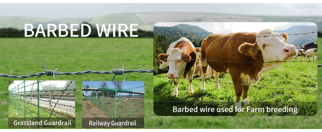 Hooked Mesh Barbedelectric Galvanized Barbed Wire with ISO for Secure The Top of The Walls