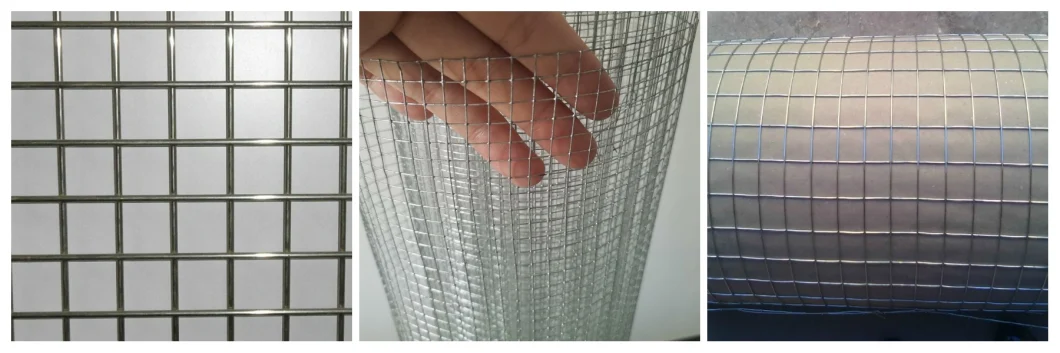 New Design Square and Green PVC Coated Welded Wire Mesh for Animal Cages