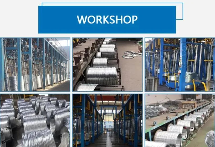 Hot Dipped Galvanized Steel Wire Factory! Q195 Q235 12/ 16/ 18 Gauge Electro Galvanized Gi Iron Binding Wire