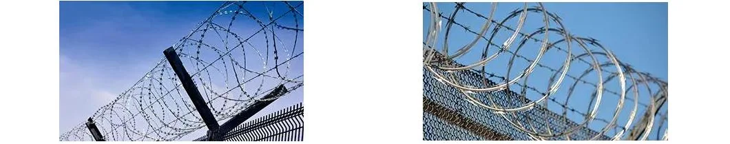 Electric Wire Mesh Razor Wire Stainless Steel Galvanized Wall Fence 32mm Dra Razor Protecting Barbed Mesh Wire