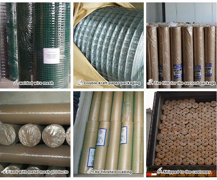 PVC Coated Green Wire Netting Galvanized Welded Wire Mesh for Garden Fence and Cages