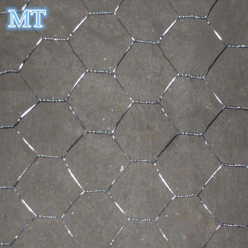 Chicken Wire Netting Galvanized Mesh Hexagonal Wire Mesh