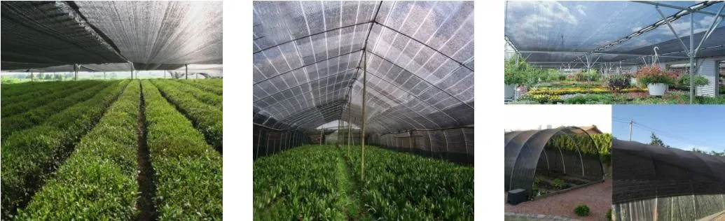 Factory China Supplier Agricultur Seedlings Shade Rate 50%-98% Twilled Weave Roof Shading Net Green Black Virgin HDPE Shade Net for Greenhouse Outdoor Garden